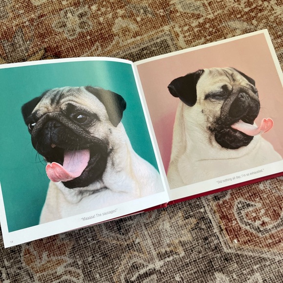 LouLou ultimate Pug book - Picture 3 of 4